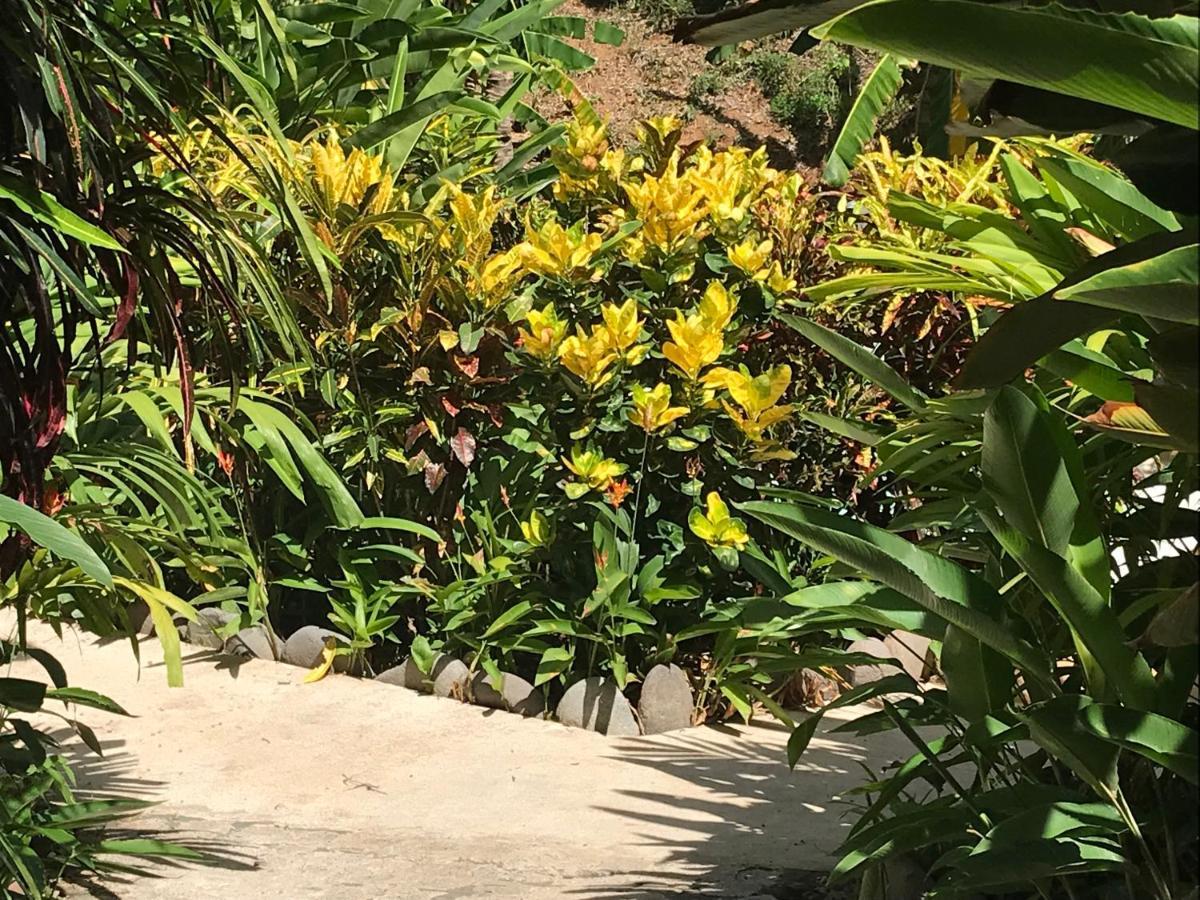 Flor De Paraiso Bungalows Montezuma Zewnętrze zdjęcie