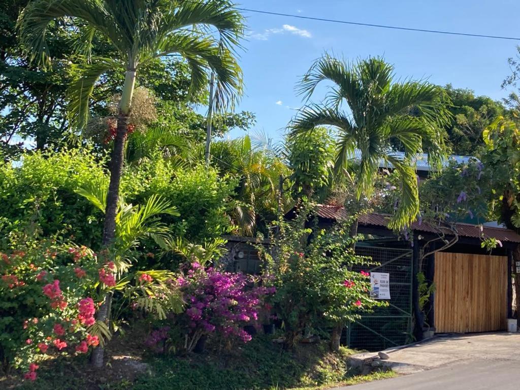 Flor De Paraiso Bungalows Montezuma Zewnętrze zdjęcie